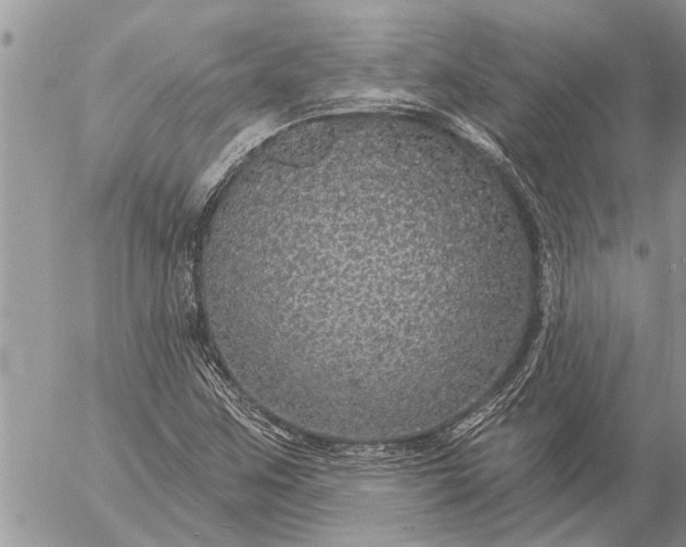 X0000057091259200509231641