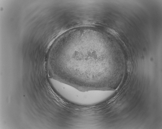 X0000057091260200509231641