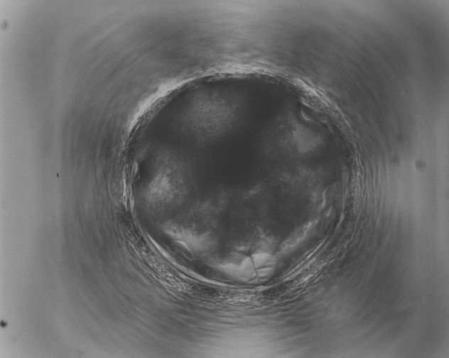 X0000057091262200509231641