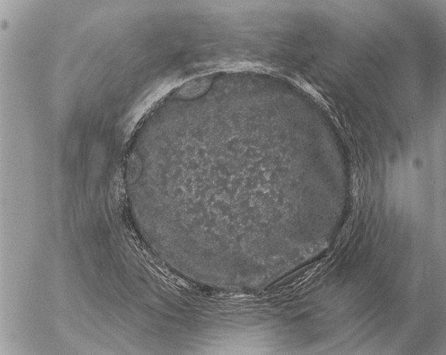 X0000057091263200509231641