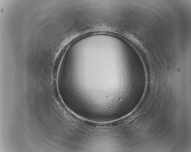 X0000057091264200509231640