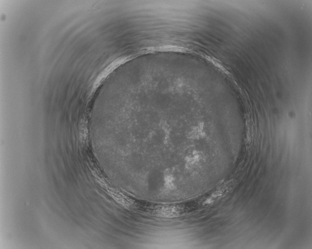 X0000057091266200509231640