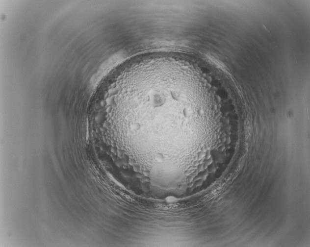 X0000057091267200509231640