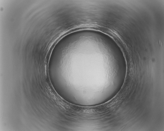 X0000057091268200509231640