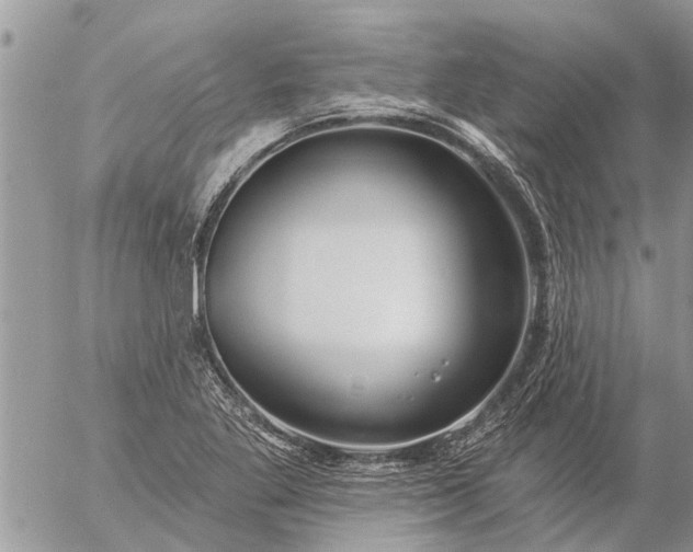 X0000057091269200509231640