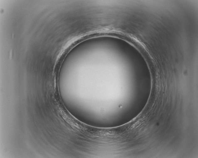 X0000057091270200509231640