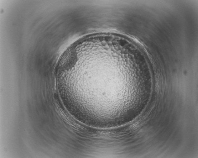 X0000057091271200509231640