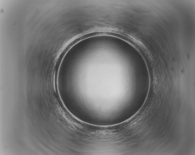 X0000057091272200509231640