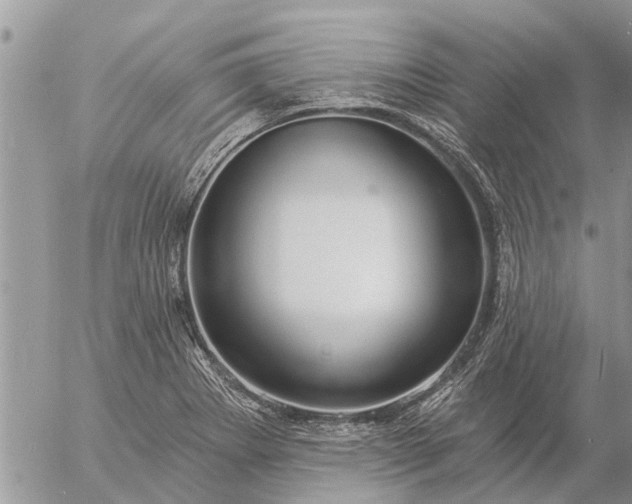 X0000057091273200509231640