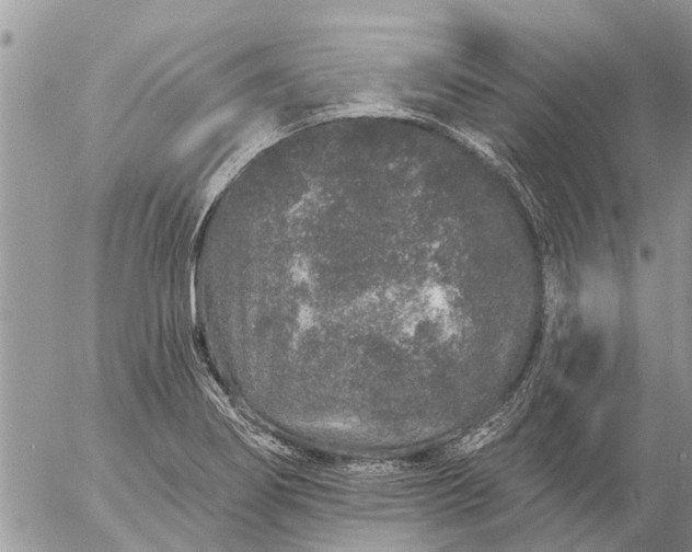 X0000057091274200509231640