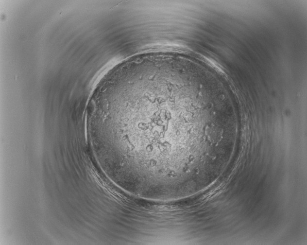 X0000057091275200509231640