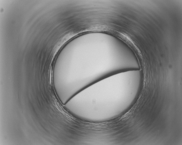 X0000057091276200509231640