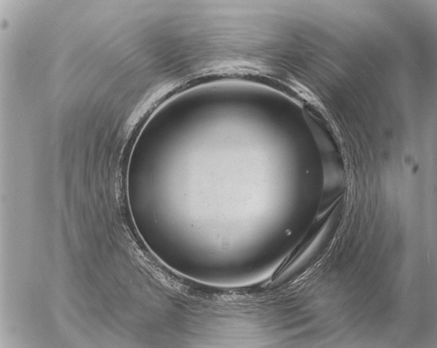 X0000057091277200509231640