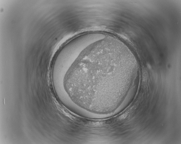 X0000057091278200509231640