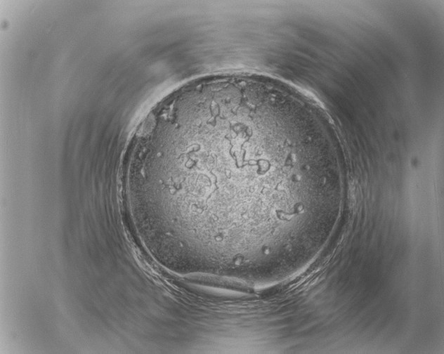 X0000057091279200509231640