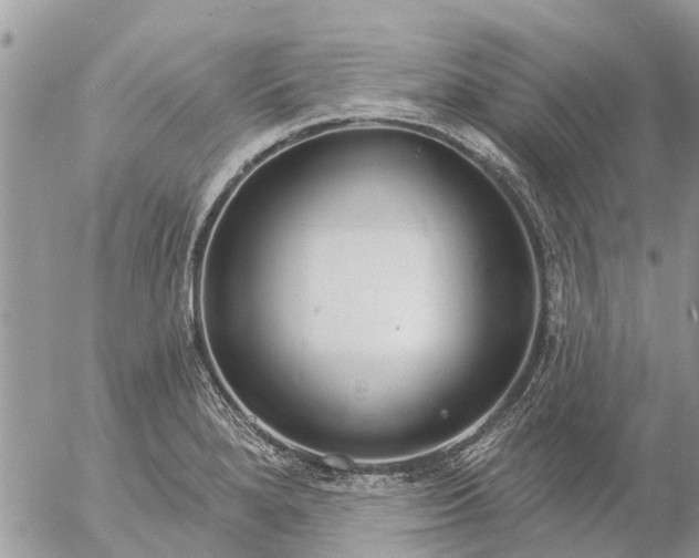 X0000057091280200509231640