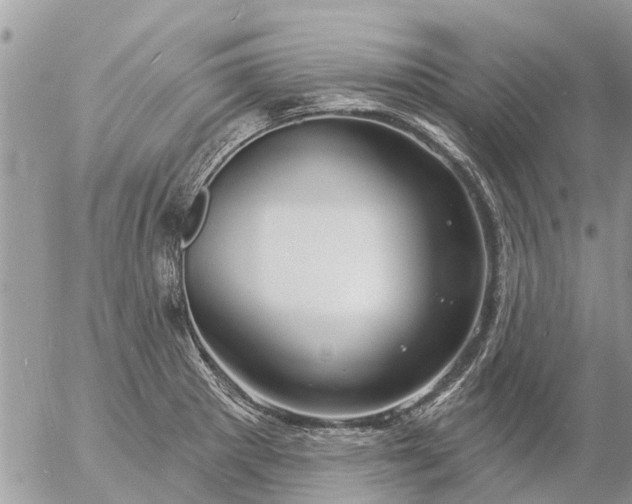 X0000057091281200509231640