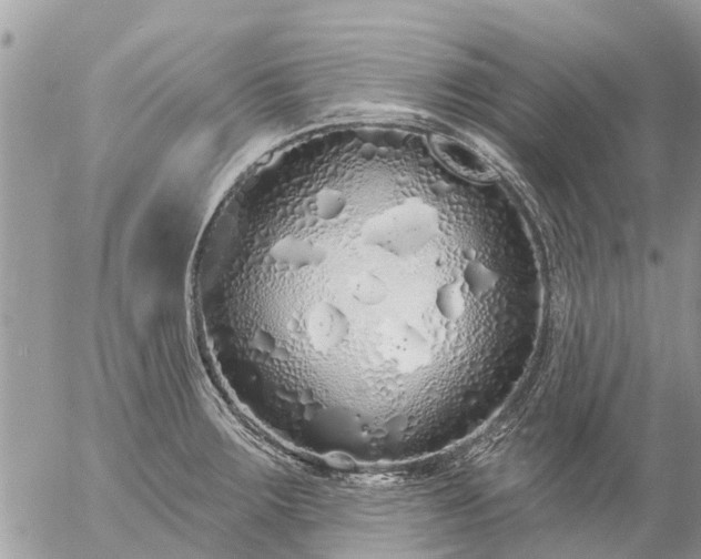 X0000057091283200509231640