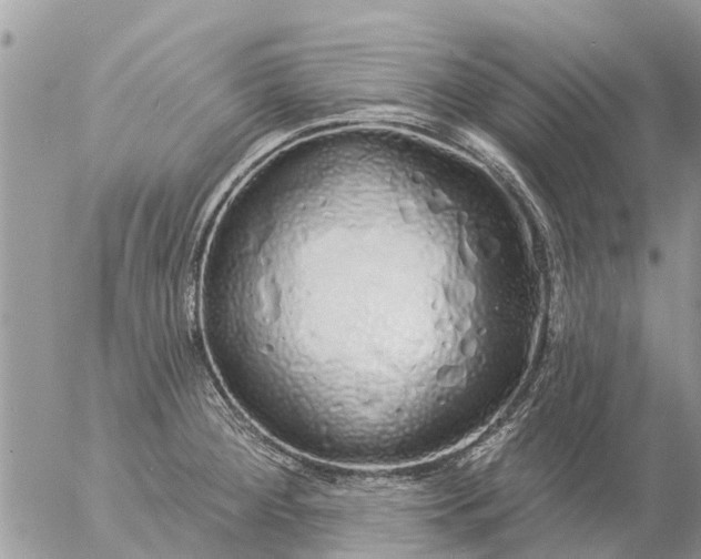 X0000057091284200509231640