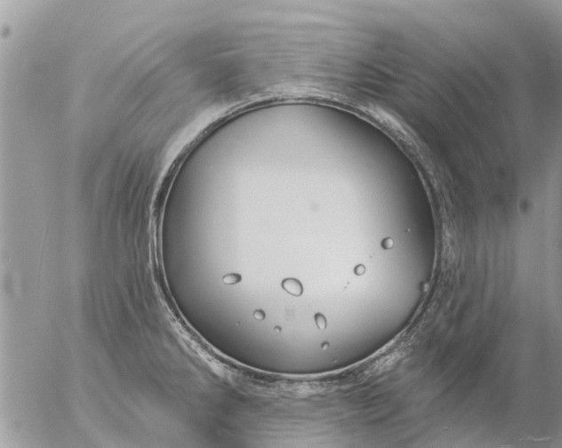 X0000057091286200509231640