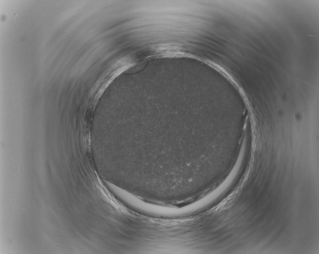 X0000057091289200509231640