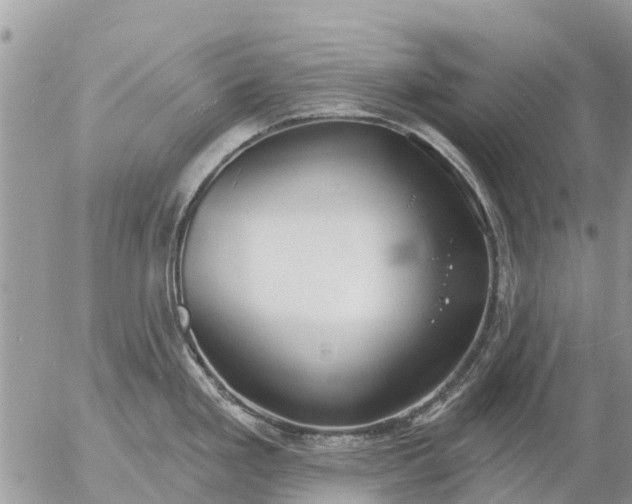 X0000057091293200509231640