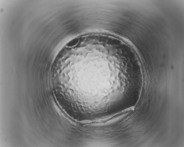 X0000057091295200509231640