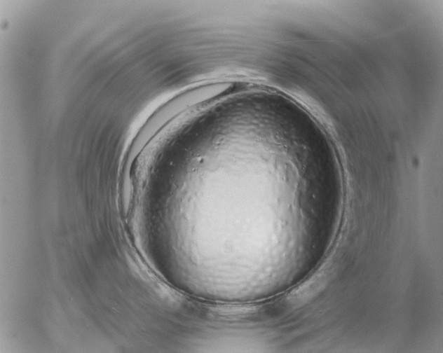 X0000057091296200509231640