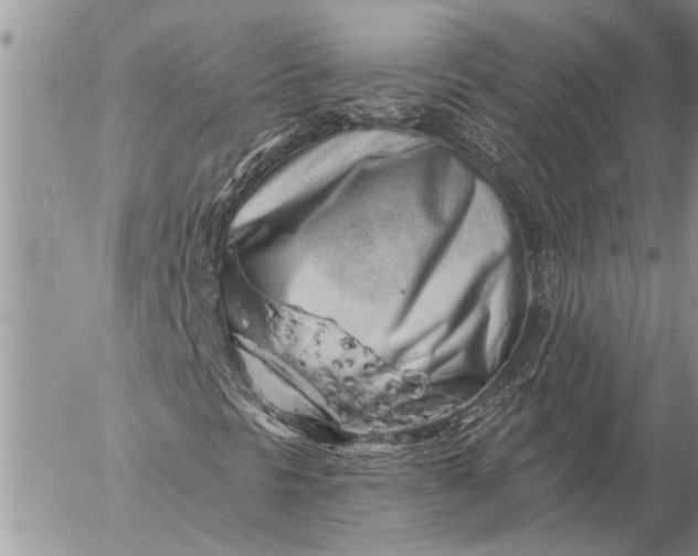 X0000057091297200509231639