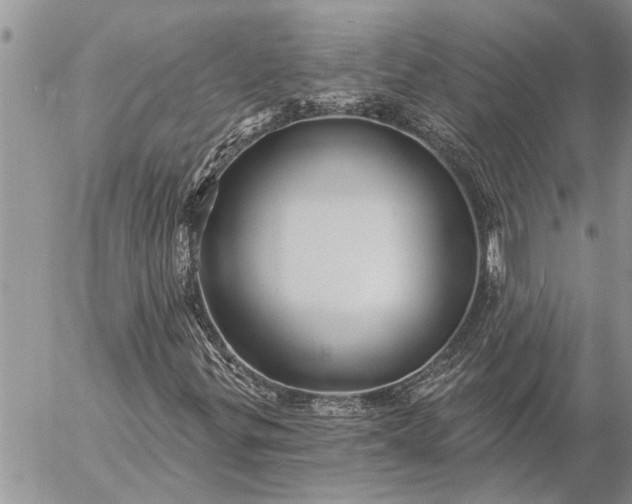 X0000057091299200509231639