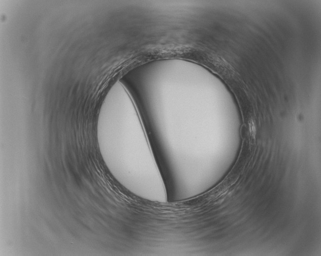 X0000057091300200509231639