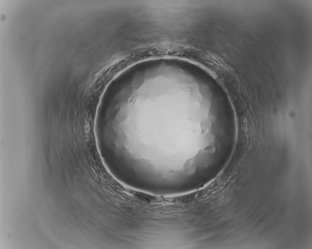 X0000057091302200509231639