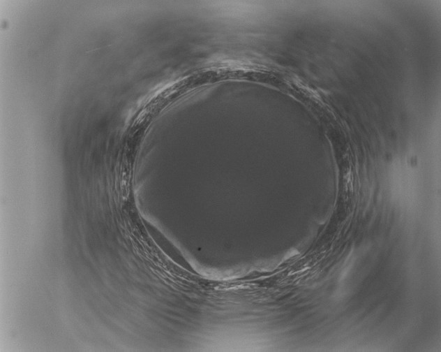 X0000057091303200509231639