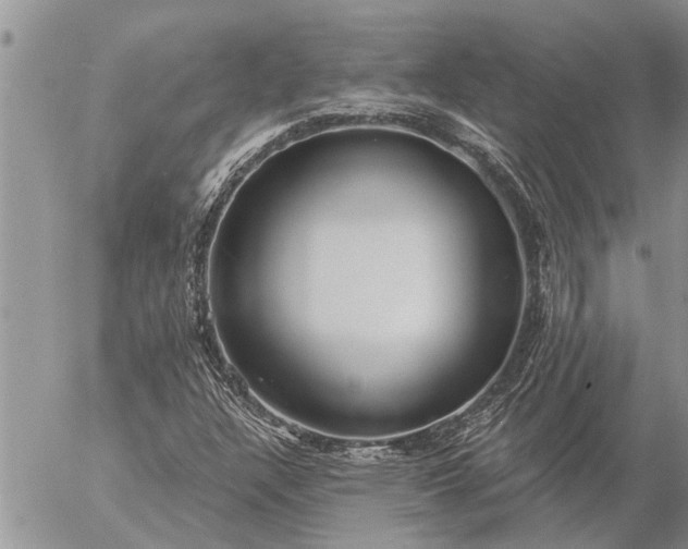 X0000057091304200509231639