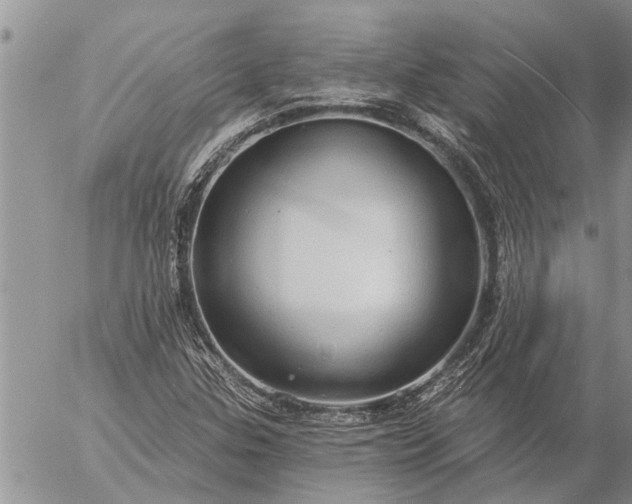 X0000057091307200509231639