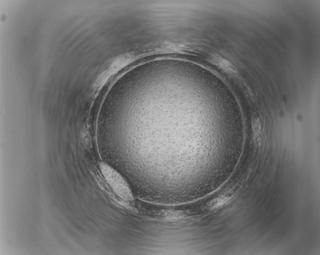 X0000057091308200509231639