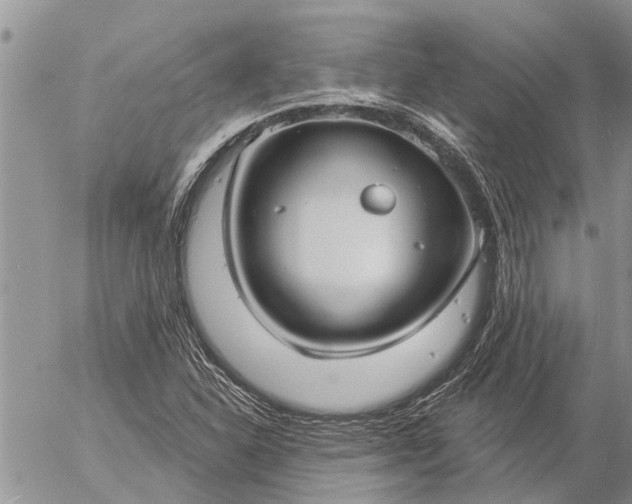 X0000057091310200509231639