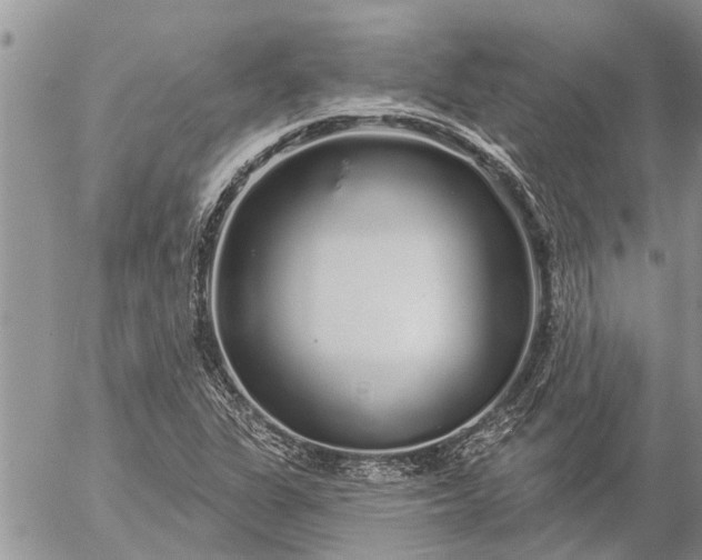 X0000057091311200509231639