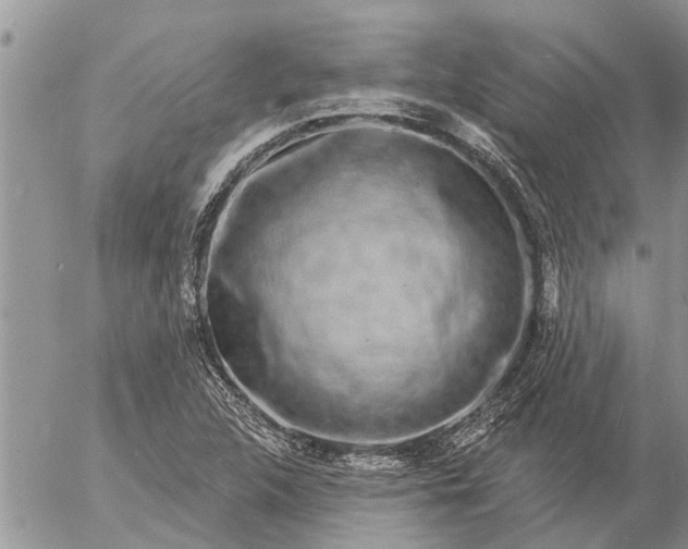 X0000057091312200509231639