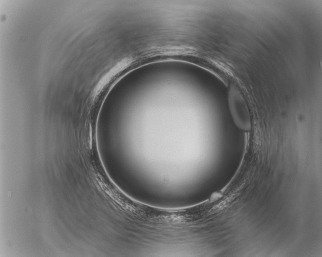 X0000057091317200509231639