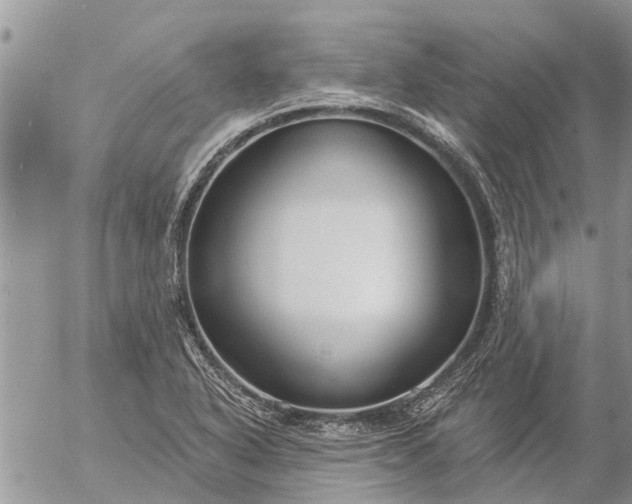 X0000057091318200509231640