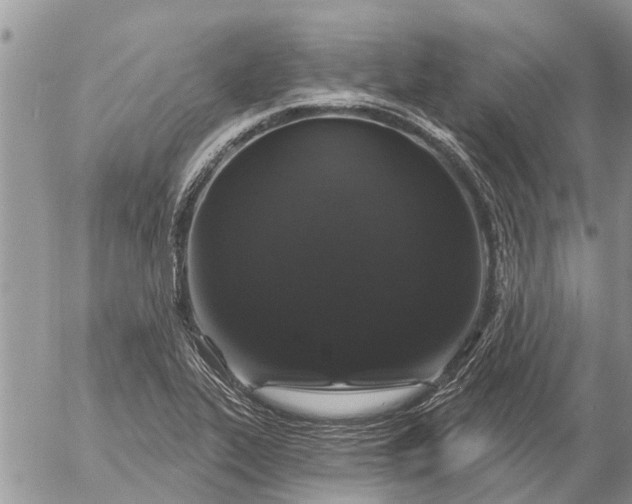 X0000057091319200509231640