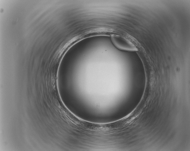 X0000057091321200509231640