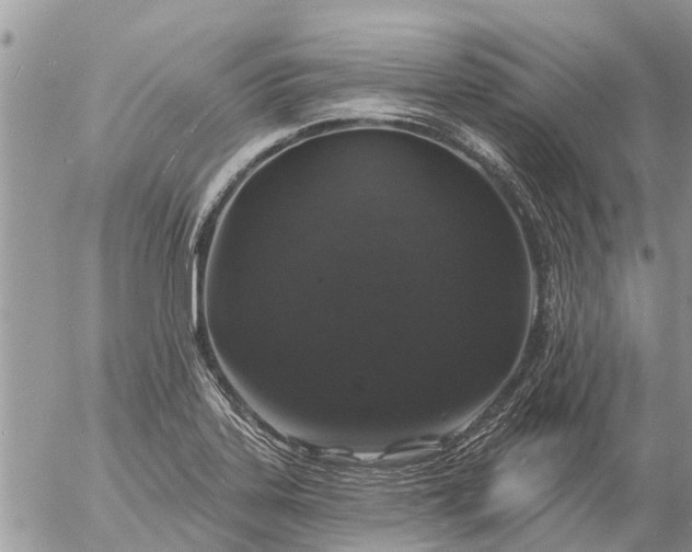 X0000057091323200509231640