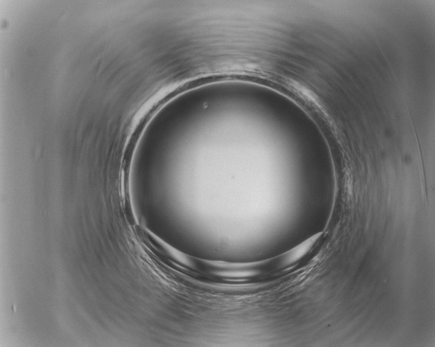 X0000057091324200509231640