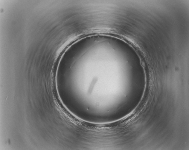 X0000057091325200509231640