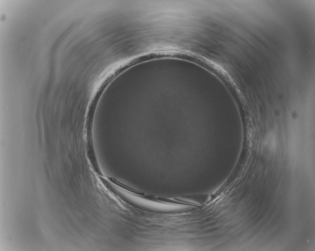 X0000057091327200509231640