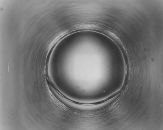 X0000057091330200509231640