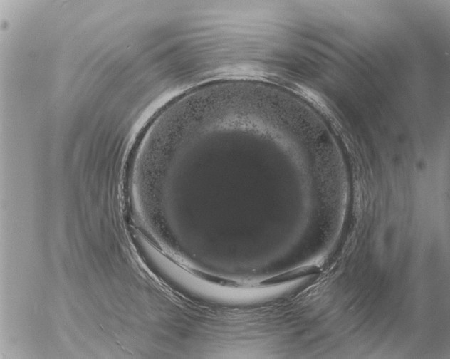 X0000057091331200509231640