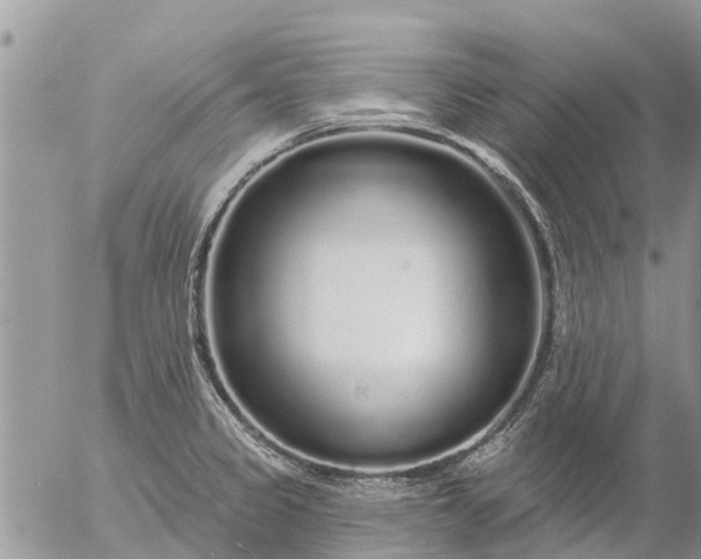 X0000057091333200509231640